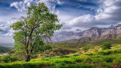 مصوبه واگذاری دنا متوقف می‌شود