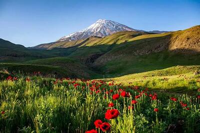 ورود گردشگران به دشت لار ممنوع شد