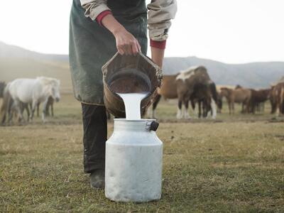 بستنی از شیر اسب مزایای شگفت انگیزی دارد