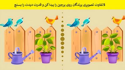 5 تفاوت تصویری پرندگان روی پرچین را پیدا کن و قدرت دیدت را بسنج