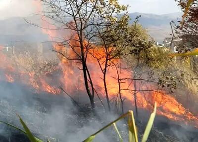 هشدار به گردشگران در مورد آتش برافروختن در مناطق حفاظت شده کردستان