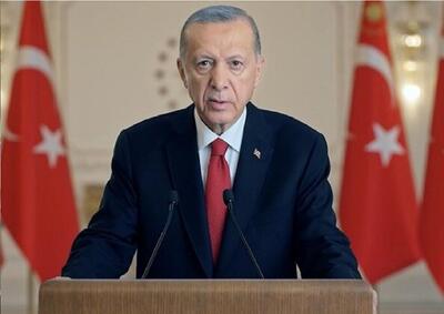 اردوغان با پسران شهید هنیه دیدار کرد + عکس