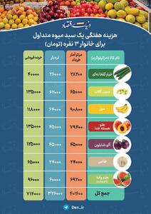 اینفوگرافی/خرید میوه برای خانواده ایرانی چقدر هزینه دارد؟ | اقتصاد24