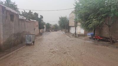 بارش باران به وقت تابستان در روستای توآباد + فیلم