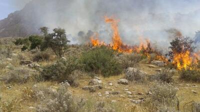 آتش سوزی باغات روستای مَریَک ناغان