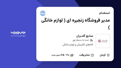 استخدام مدیر فروشگاه زنجیره ای ( لوازم خانگی ) در صنایع گلدیران