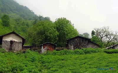 چشم‌اندازی از درازنو در استان گلستان