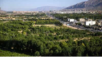 ابعاد حضور عمانی‌ ها در بازار مسکن شیراز / تلاطم قیمت ملک در سایه حضور خارجی‌ها چقدر جدی است؟