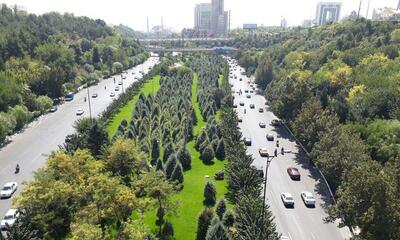 در سال گذشته، ۳۱۴ هکتار از پوشش گیاهی تهران با تغییر کاربری از بین رفته است