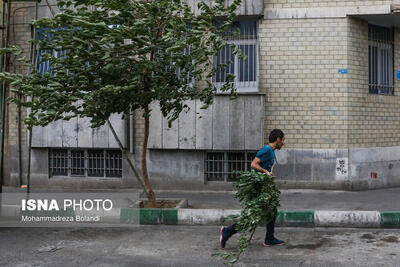 احتمال وزش باد و خیزش گرد و خاک غرب و جنوب تهران/ کاهش نسبی دمای هوای تهران در روز جمعه