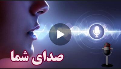 موش‌ها از در و دیوار شهر بالا می‌روند!