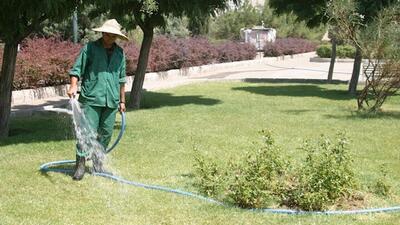 سختی آب بلای جان فضای سبز کرمان