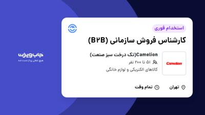 استخدام کارشناس فروش سازمانی (B2B) - آقا در Camelion(تک درخت سبز صنعت)