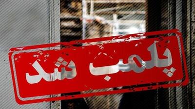 کشف و پلمب یک واحد متخلف تولید آلوچه و لواشک در ایوانکی