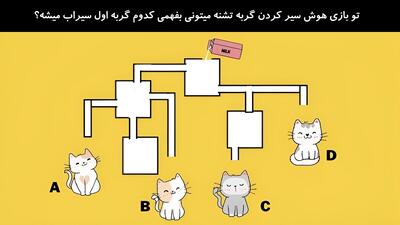 تو بازی هوش سیر کردن گربه تشنه میتونی بفهمی کدوم گربه اول سیراب میشه؟