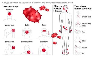 آنچه باید درباره ویروس Mpox بدانید