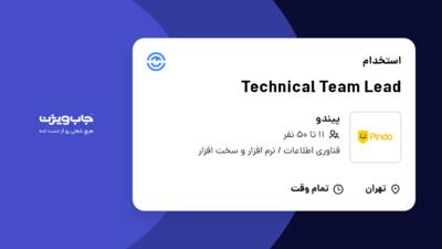 استخدام Technical Team Lead در پیندو