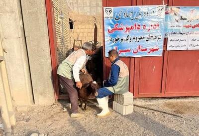 برگزاری رزمایش سراسری جهادگران فاطمی چهار در شهرستان سراب