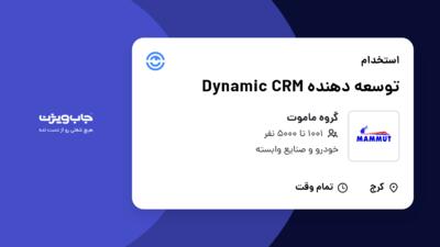 استخدام توسعه دهنده Dynamic CRM در گروه ماموت