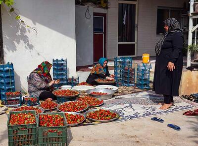 ایجاد ۶ هزار و ۶۲۴ مجوز مشاغل خانگی در استان همدان