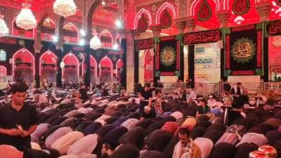 اقامه نماز جماعت زائران اربعین در حرم امام حسین (ع) + فیلم