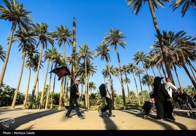 ادای احترام زائران اربعین به پرچم ایران