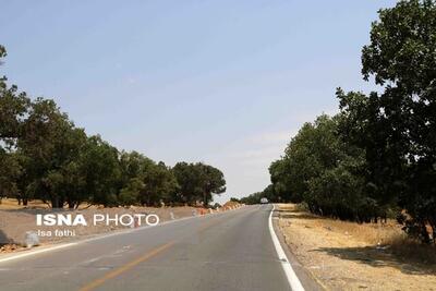 توجه به توسعه راه‌های روستایی، موجب ماندگاری جمعیت مولد می‌شود