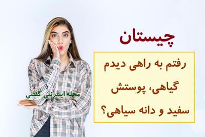 چیستان: رفتم به راهی دیدم گیاهی، پوستش سفید و دانه سیاهی؟