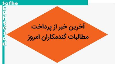 آخرین خبر از پرداخت مطالبات گندمکاران امروز شنبه ۳ شهریور ماه ۱۴۰۳ | وعده شیرین به گندمکاران