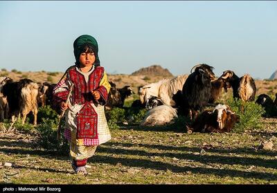 122 میلیارد جهت توسعه فعالیت‌های عشایری سیستان وبلوچستان - تسنیم