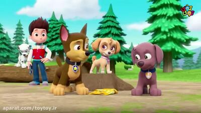 خلاصه انیمیشن پاوپاترول PawPatrol S03E40