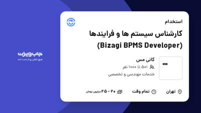 استخدام کارشناس سیستم ها و فرایندها (Bizagi BPMS Developer) در کانی مس