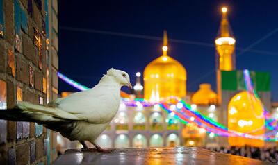 مداحان مشهور  ۱۱ شب  در مشهد مرثیه خوانی می کنند