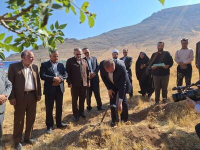 سرپرست سازمان منابع طبیعی و آبخیزداری کشور خبر داد؛  تولید ۲۴۰ میلیون اصله نهال سال گذشته در کشور