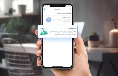  چطور از بلو، بیش از ۲۰ درصد سود دریافت کنیم؟ 