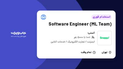 استخدام Software Engineer (ML Team) در اسنپ