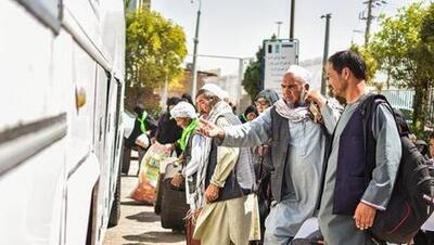 استاندار تهران : خدمات شهری و غیر شهری برای اتباع غیرمجاز ممنوع می‌شود - عصر خبر