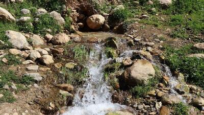 پیچیدن صدای دلنشین رودخانه در دل طبیعت روستای آغچه + فیلم