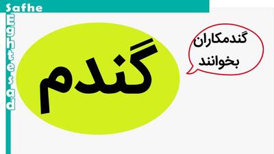 قیمت جدید پیشنهادی نرخ خرید تضمینی گندم ۲۳ هزار تومان است | گندمکاران بخوانند