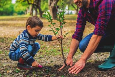 گام‌های بزرگ برای راه‌اندازی نهالستان