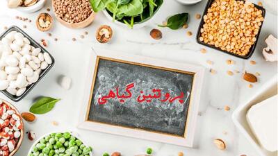 از 40 سالگی به بعد این غذاها را فراموش نکنید