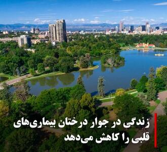 زندگی در فضای سبز از طریق بهبود سلامتی استخوان‌ها و کند کردن روند پیری می‌تواند سلامتی را تقویت کند