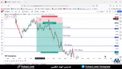 سیگنال یورو به دلار نیوزلند - سیگنال فارکس رایگان با سود 100 پیپ | ویدئو شماره 585