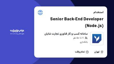 استخدام Senior Back-End Developer (Node.js) در سامانه کسب و کار فناوری تجارت شایان