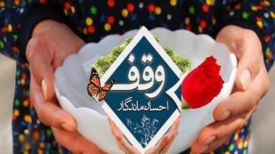 ثبت ۱۱ موقوفه به نام امام رضا (ع) در خراسان جنوبی