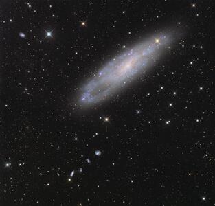 تصویر روز ناسا: NGC 247 و دوستانش