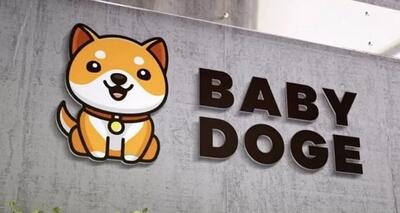 چشم انداز بلندمدت بیبی دوج کوین؛ پیش‌بینی قیمت Babydoge Coin تا سال 2050