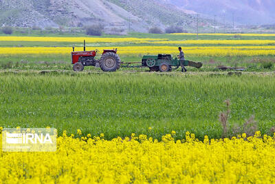 محرومیت از خدمات کشاورزی برای سرپیچی از الگوی کشت