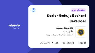 استخدام Senior Node.js Backend Developer در داتام پندار سورین