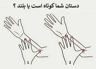 بگو دستت بلند یا کوتاه تا خصوصیات اخلاقیتو بگم | تست شخصیت شناسی